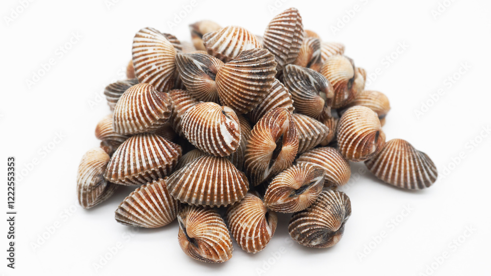 Cclose up and selective focus Blood Cockles or Kerang darah. blood cockle ocean gourmet seafood in basket. Cclose up and selective focus Blood Cockles or Kerang darah. blood cockle ocean gourmet seafood in basket.