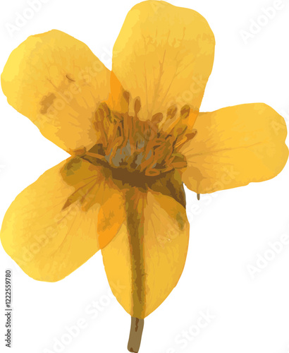 Pressed dried flower realistic illustration isolated on transparent background