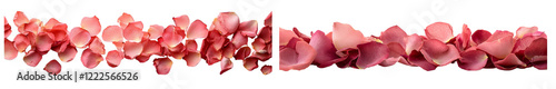Wallpaper Mural Delicate pink rose petals arranged beautifully Valentine's day heart romantic flower collection Torontodigital.ca