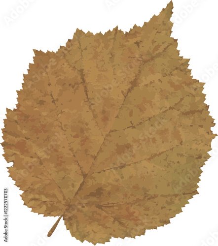 Autumn leaf realistic photo illustration isolated on a transparent background