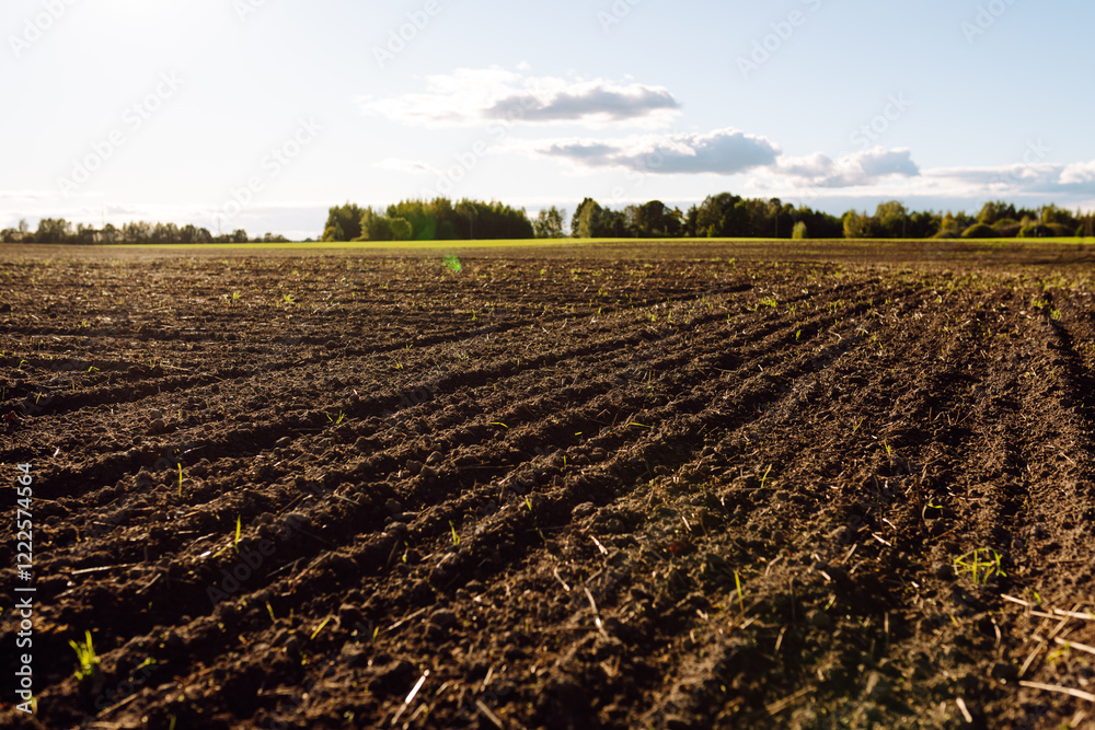 Black soil prepared for planting crop. Dirt soil ground in farm. Rich harvest concept. Agricultural background. Concept of farming. Black soil prepared for planting crop. Dirt soil ground in farm. Rich harvest concept. Agricultural background. Concept of farming.
