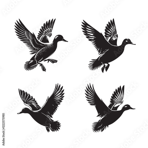 High-Quality Vector Silhouette of a Gadwall on White Background"