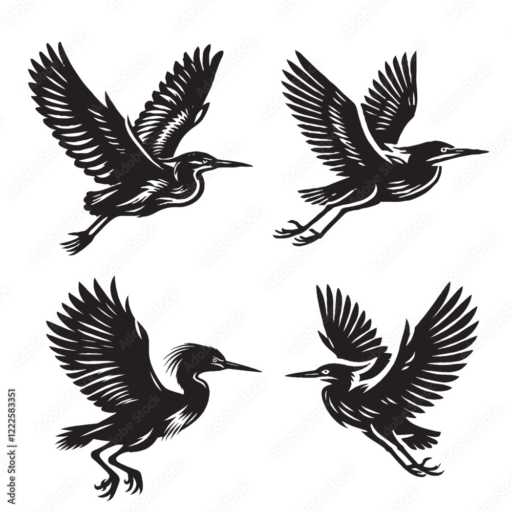 Fototapeta premium High-Quality Vector Silhouette of a Green Heron on White Background