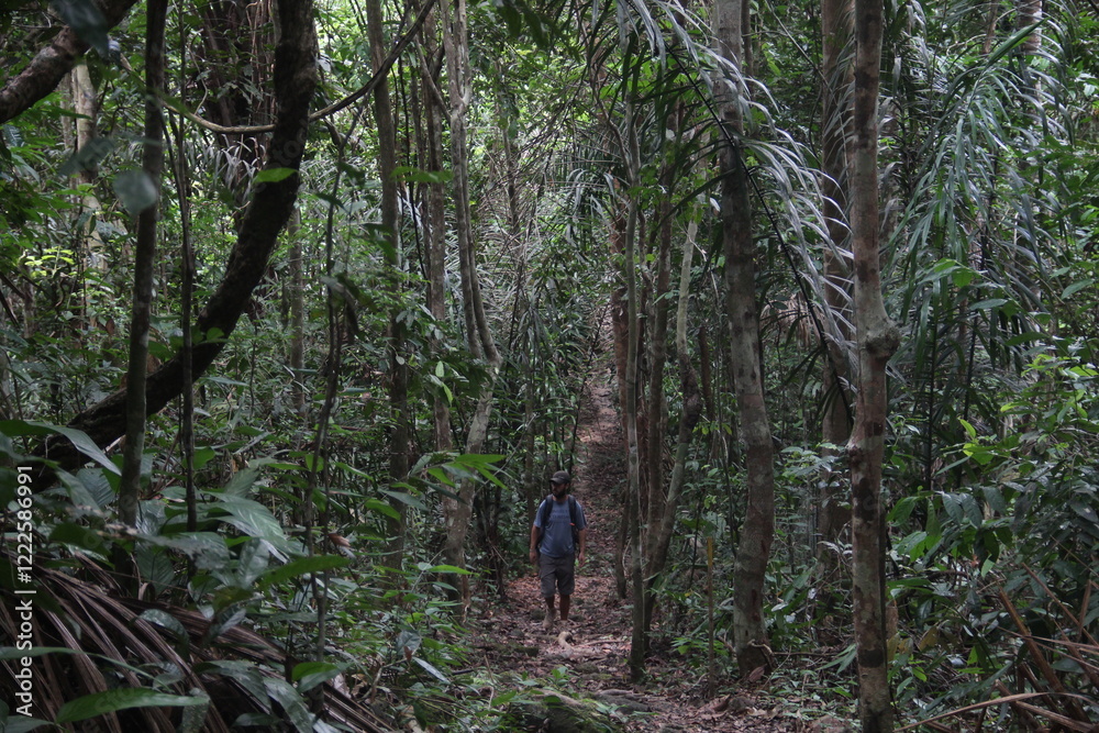 homem em trilha no parque nacional do viruá, roraima homem em trilha no parque nacional do viruá, roraima