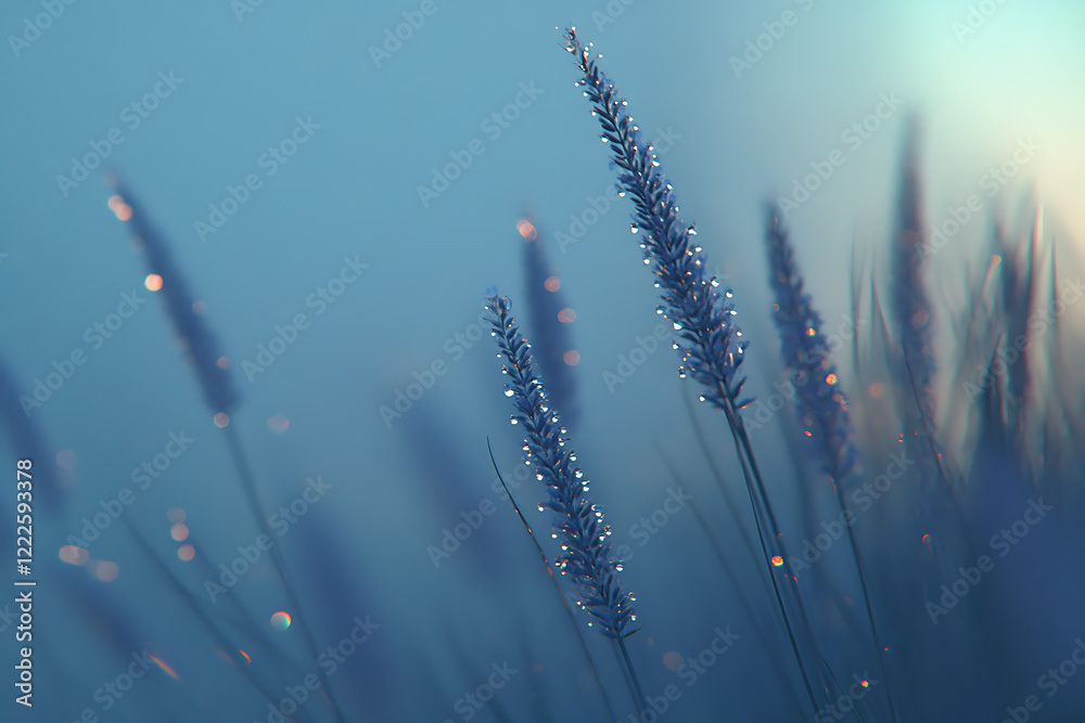 Fototapeta premium Lavender fields glistening after a gentle rain, with raindrops shimmering on vibrant purple blossoms.