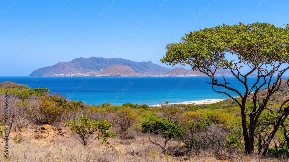 Island Seascape with Lush Vegetation Island Seascape with Lush Vegetation