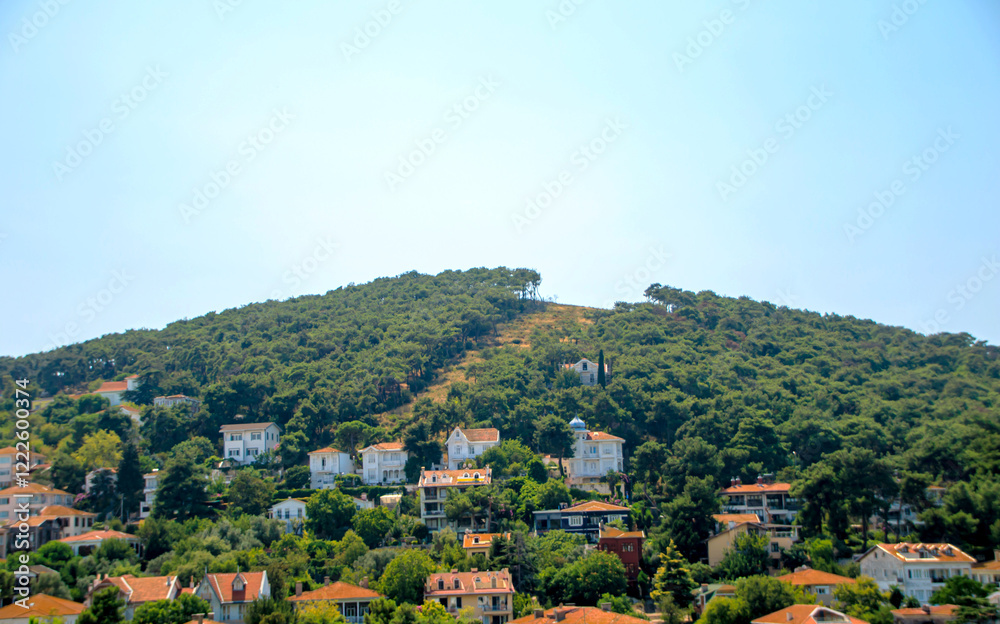 Fototapeta premium Heybeliada island village in the mountains in istanbul