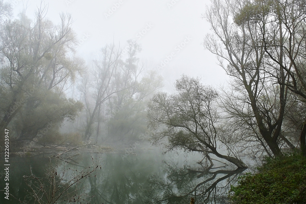 Branches of the Danube River in foggy winter weather, Danubian wetland, Slovakia Branches of the Danube River in foggy winter weather, Danubian wetland, Slovakia