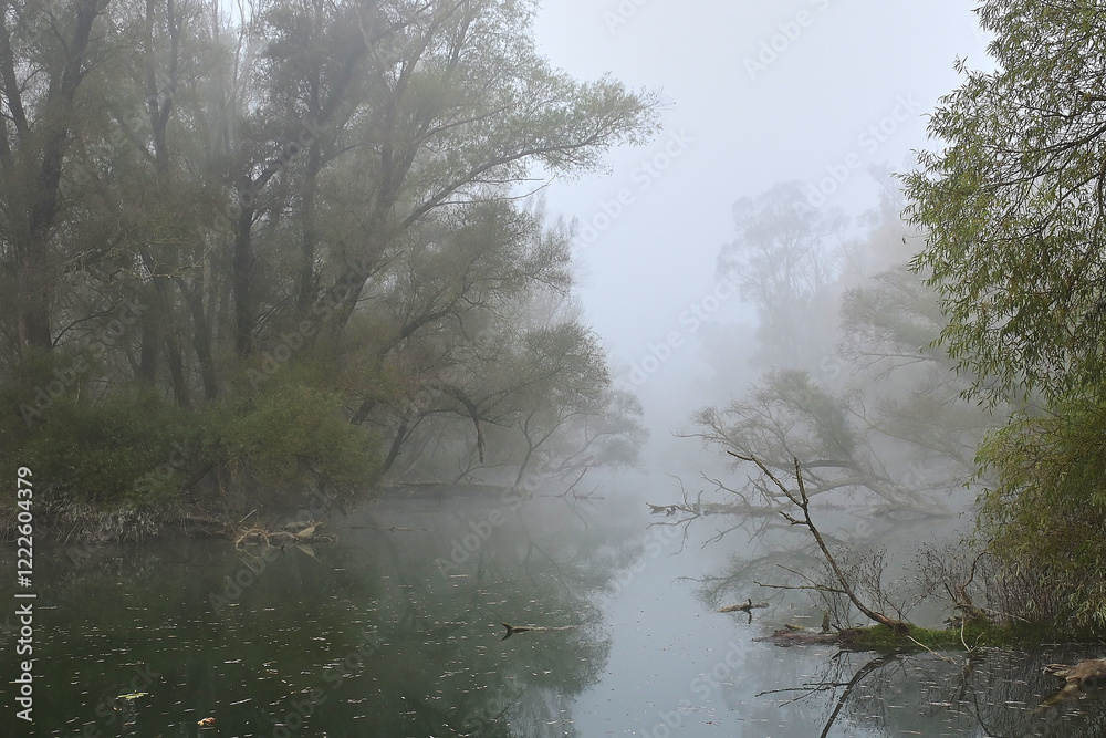 Branches of the Danube River in foggy winter weather, Danubian wetland, Slovakia