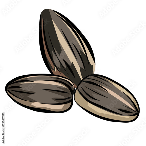 Sunflower seeds without background vector image