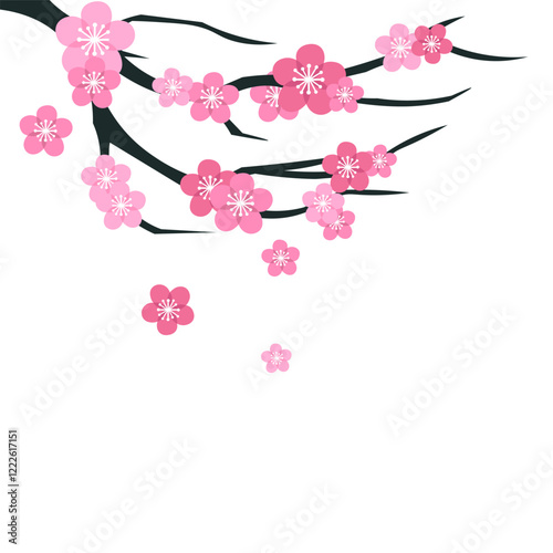 cherry blossom sakura