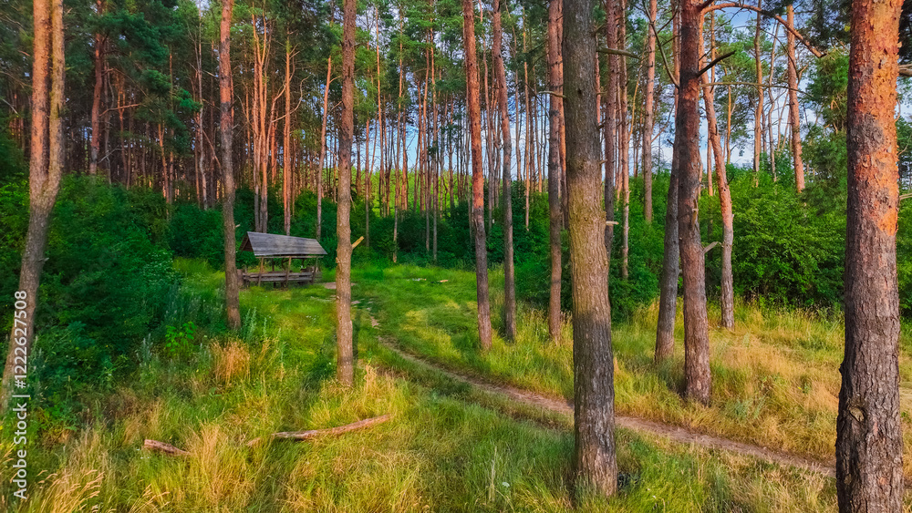 vivid green yellow forest edge landscape April warm sun scenic idyllic environment space with wooden garden house vivid green yellow forest edge landscape April warm sun scenic idyllic environment space with wooden garden house