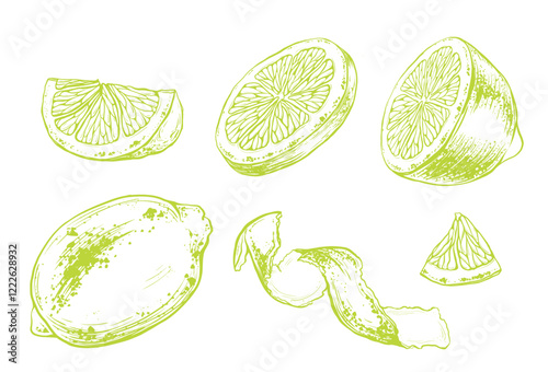 Set of slice and whole lemon, peel or zest of Lemon and isolated on white background. Vector ink vintage engraving illustration for menu, web and label. Hand drawn in a graphic linear drawing citrus.