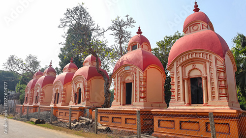 Canvastavla View of the group of 10th-century Nibia Kheda Brick Temples dedicated to Lord Shiva, Nibia Khera, Kanpur, Uttar Pradesh, India