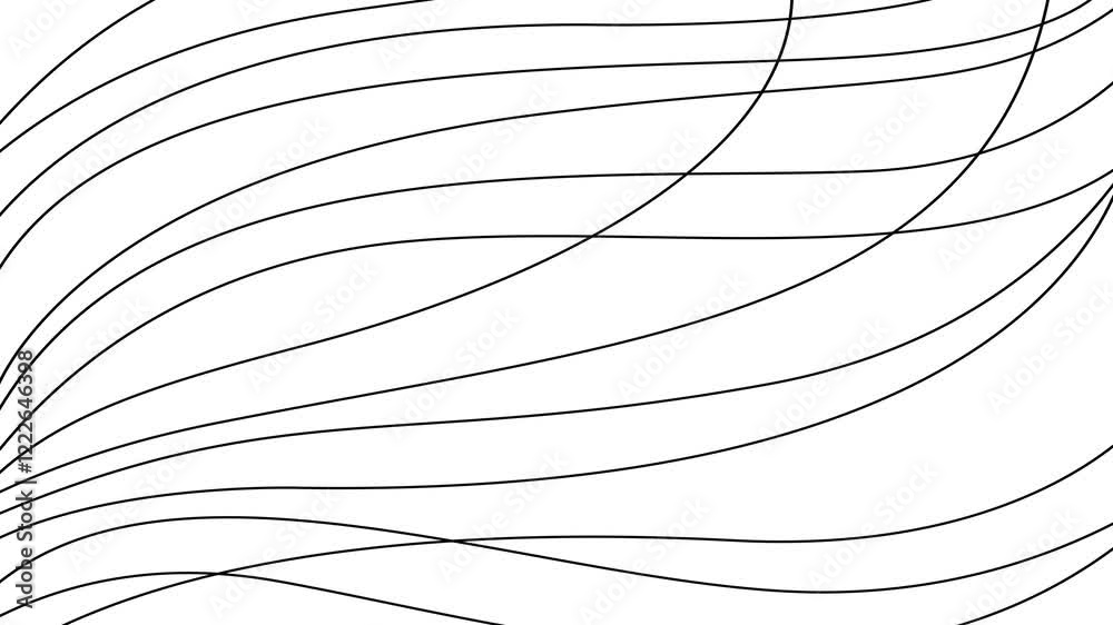 Animated black decorative wavy lines is drawn. Linear background. Looped video. Vector illustration isolated on white background.