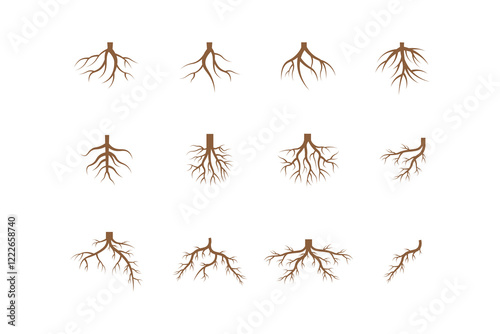 colored style tree roots illustration vector collection