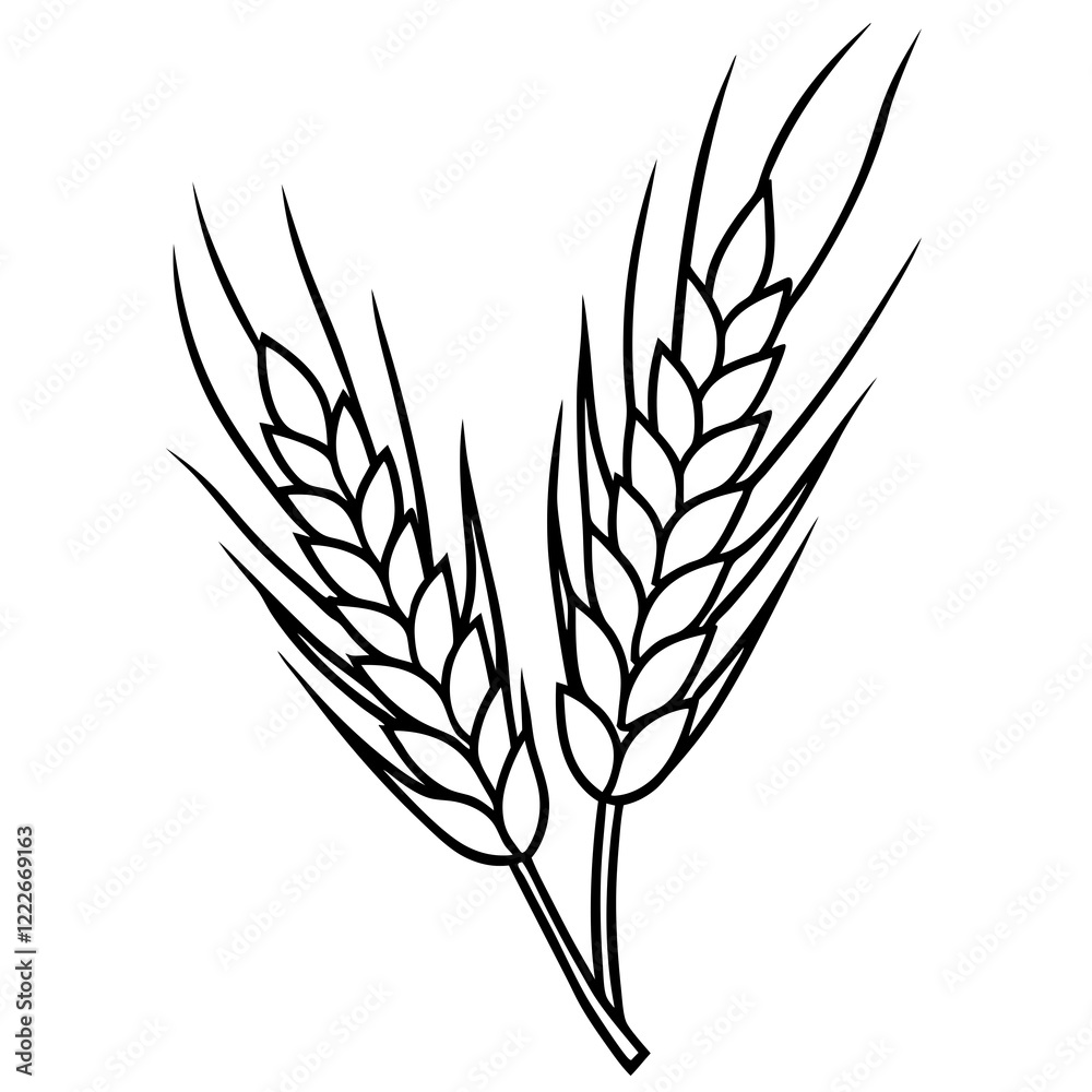 Barley Outline Vector Illustration Barley Outline Vector Illustration