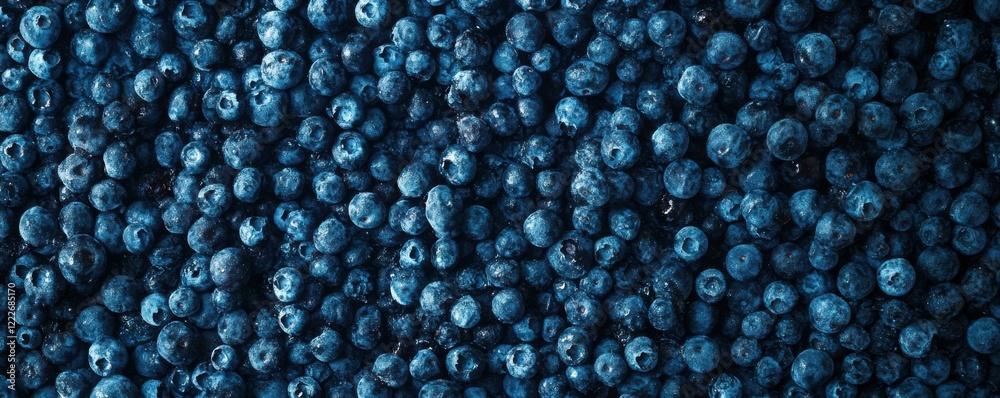 Fresh organic blueberries close-up texture with frosted details Fresh organic blueberries close-up texture with frosted details