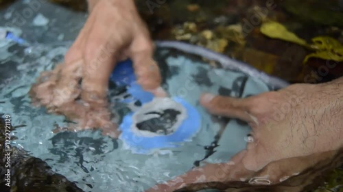 A close-up shot of hands. Young boy's hands refilling his camelback from a clear river after a rainforest trek, showcasing a connection to nature and the importance of sustainable hydration practices