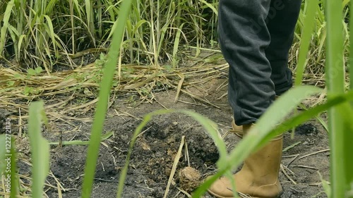 A farmer carefully plants a young tree in degraded tropical soil, contributing to reforestation efforts in vulnerable ecosystems affected by climate change. The restoration of native forests is good.