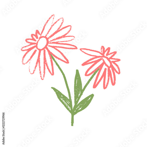Echinacea flower crayon drawn. Spring plant doodle isolated on white background. Summer floral kids element. Chalk or pastel style childish scrawl wildflower shape. Vector naive illustration by pencil