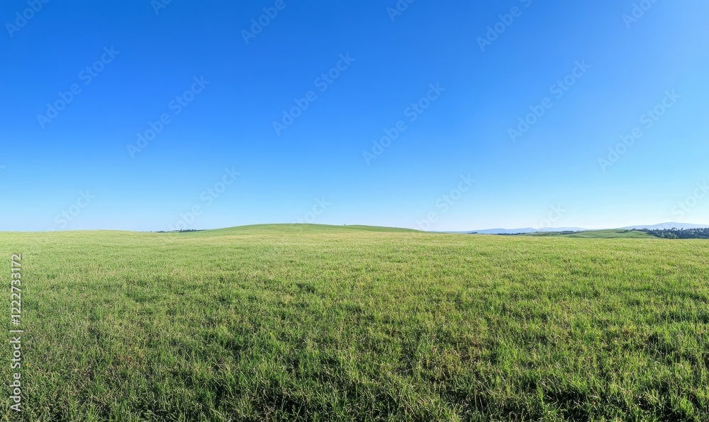Green grass on blue clear sky, spring nature theme. Panorama Green grass on blue clear sky, spring nature theme. Panorama