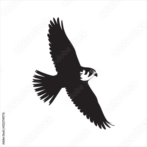 Falcons in Art and Literature: A Symbol of Elegance and Power
