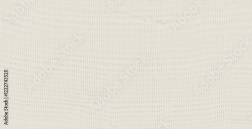Beige grain paper texture. Rice paper. Neutral tone background with noise and speckles. Pale egg shell backdrop. Natural creamy canvas. Vector illustration.