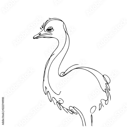 Ostrich Standing in a Natural Habitat