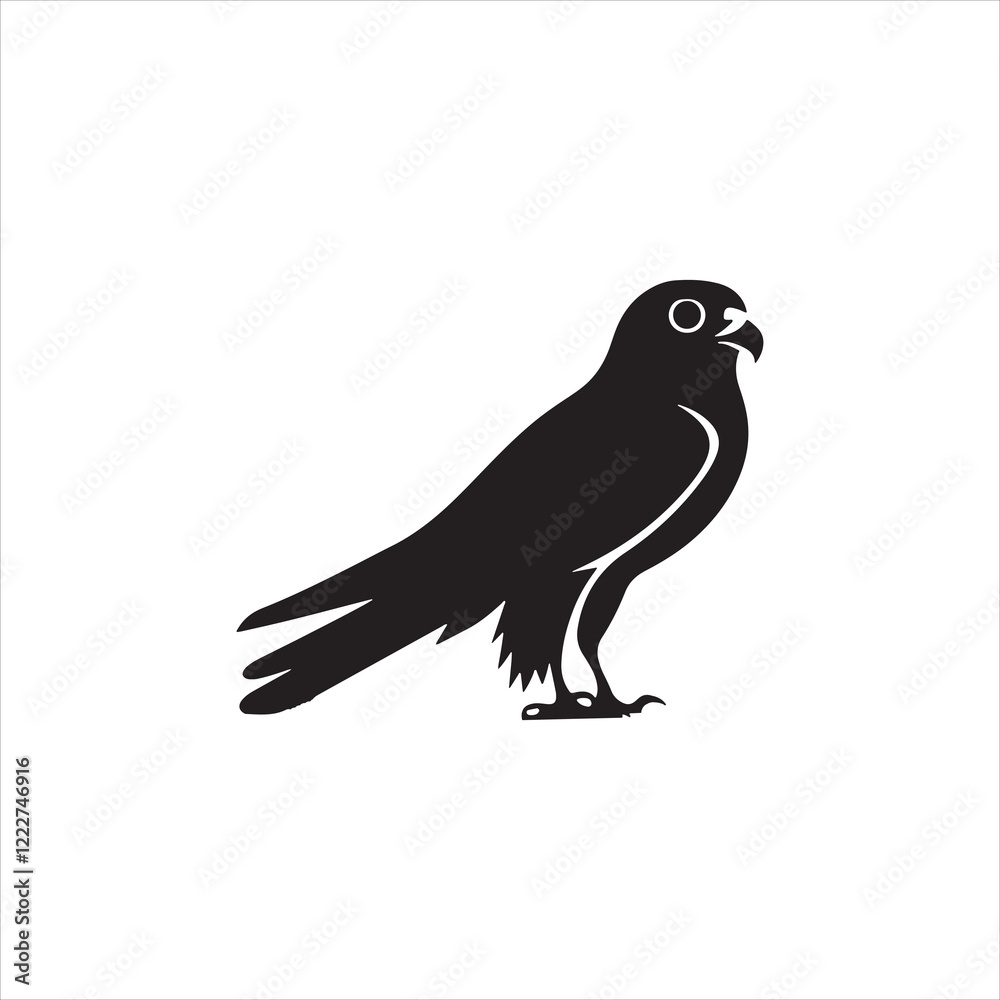 The Relationship Between Falcons and Prey Populations The Relationship Between Falcons and Prey Populations