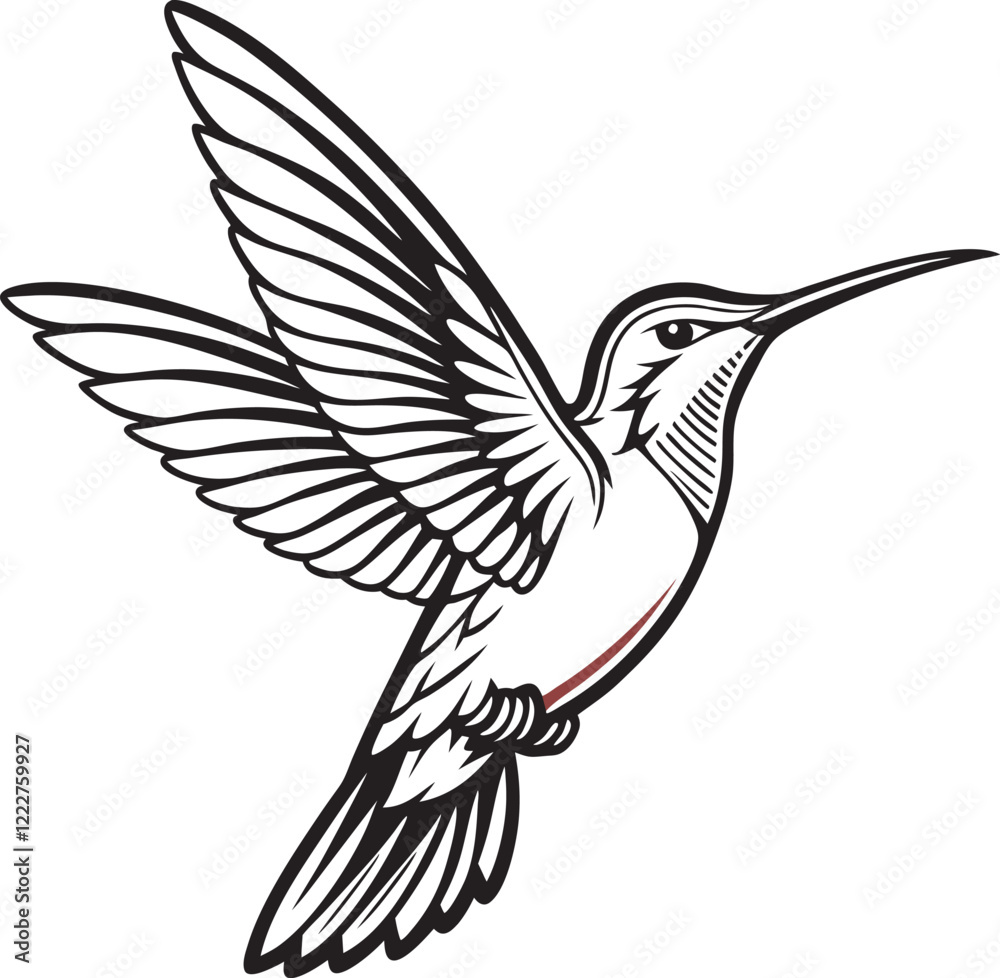 Fototapeta premium Ethereal Beauty Hummingbird Silhouette in Flight