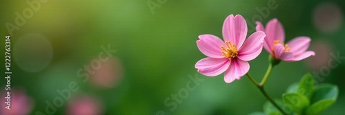 Delicate pink flower blooms on a lush green stem, naturephotography, plantlife