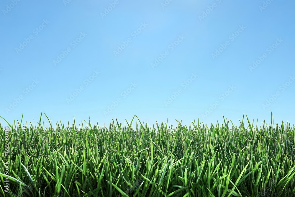 Spring background grass outdoors nature. Spring background grass outdoors nature.