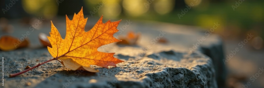 A single oak leaf placed on a stone or rock surface, earthy tones, nature photography A single oak leaf placed on a stone or rock surface, earthy tones, nature photography