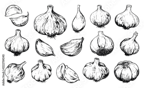 Whole Garlic And Garlic Cloves Hand Drawn Illustrations Set On White Background Unique Artwork Creative Design Garlic Icons Culinary Herb Elements Healthy Food Collection Artistic