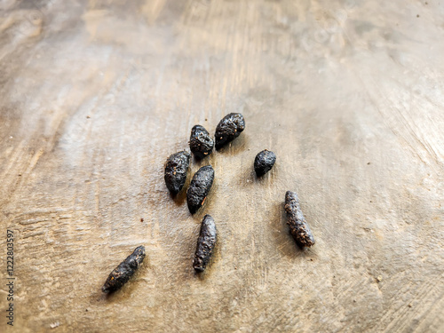 Rat droppings on the ground, unhygienic droppings.