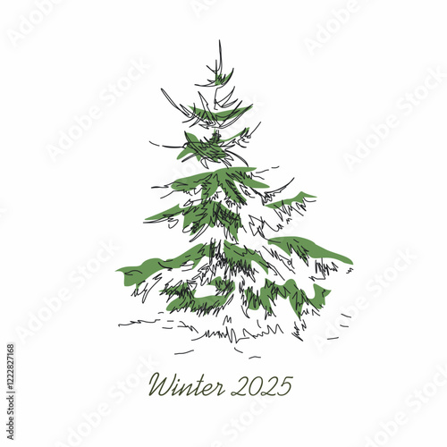 Sketching drawing of a coniferous tree. Winter mood. Easy sketch of a linear image of a spruce tree