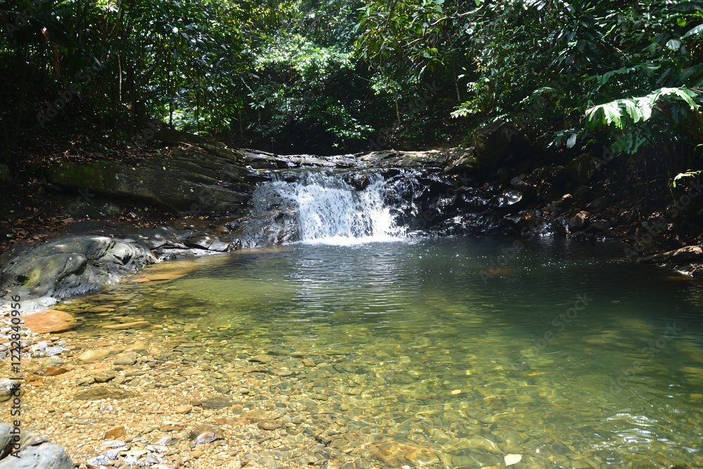 Obraz premium Serene waterfall cascading into a clear pool surrounded by lush tropical vegetation in a forest