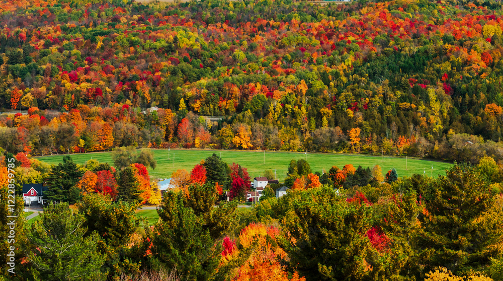 Obraz premium Bright colors of fall foliage, Quebec, Canada