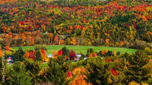 Bright colors of fall foliage, Quebec, Canada