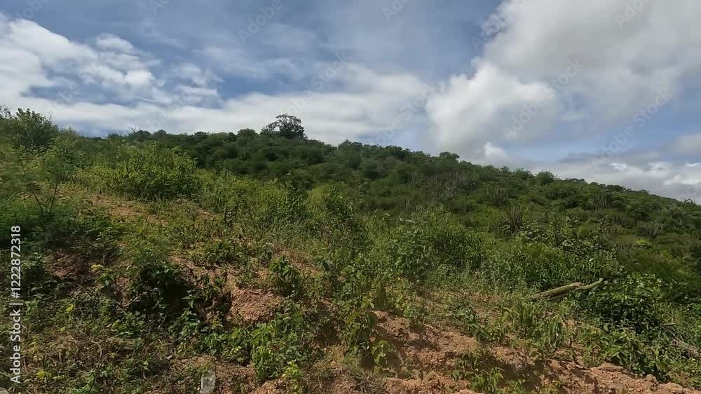Peaceful mountain landscape with lots of tropical plants during the midday sun. Tropical landscape Peaceful mountain landscape with lots of tropical plants during the midday sun. Tropical landscape