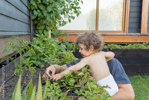 Heartwarming scene of a father and his 2-year-old son cultivating a garden in their lush backyard, fostering a love for nature.