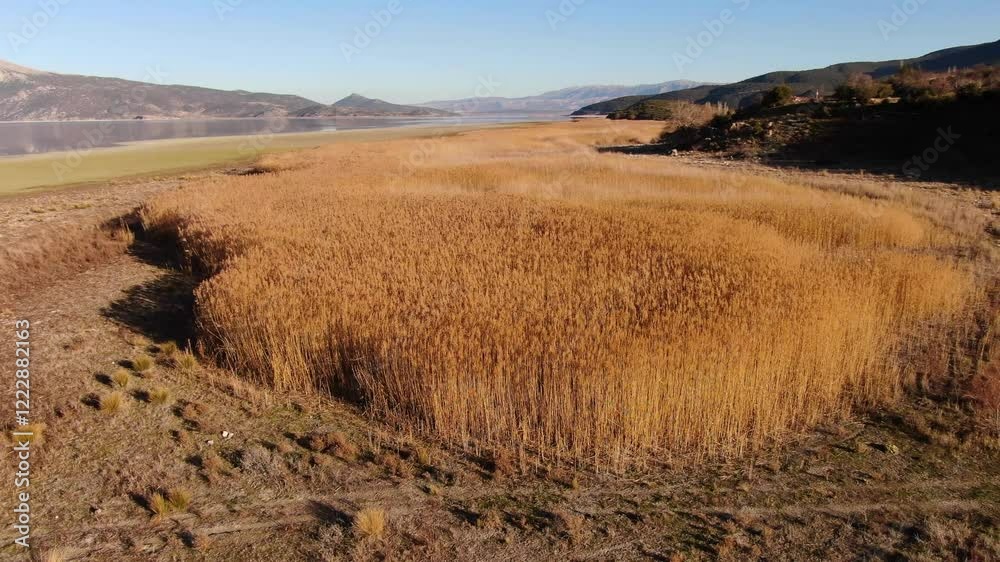 Yellowing reeds by the lake in winter. Egirdir Lake, Turkey. Aerial view. Yellowing reeds by the lake in winter. Egirdir Lake, Turkey. Aerial view.