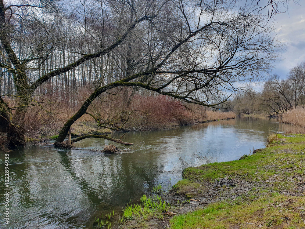autumn landscape with a view of a lonely tree growing right in the river against the backdrop of a gloomy sky autumn landscape with a view of a lonely tree growing right in the river against the backdrop of a gloomy sky