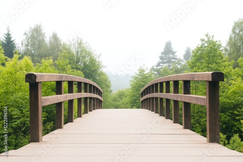 Tranquil wooden bridge surrounded by lush greenery in a misty forest setting