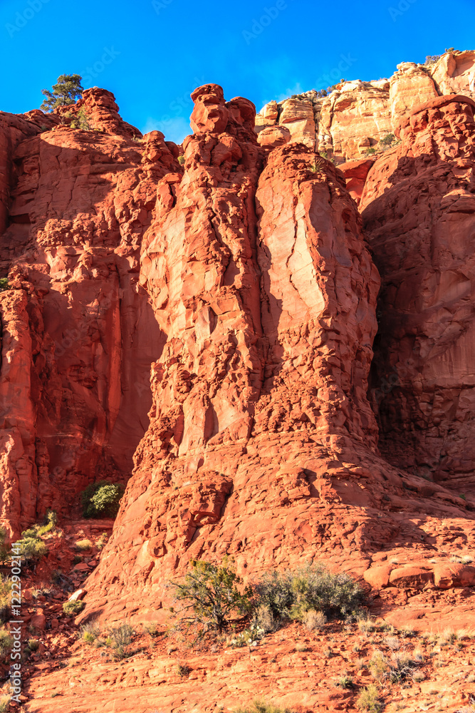 Fototapeta premium A rocky mountain with a small tree growing on it
