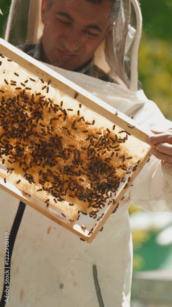 Farm, bees and beekeeper with hive for honey harvest for propolis, honeycomb and pollen production Farm, bees and beekeeper with hive for honey harvest for propolis, honeycomb and pollen production