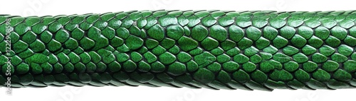 A close-up view of a vibrant green snake skin texture showcasing its intricate details.