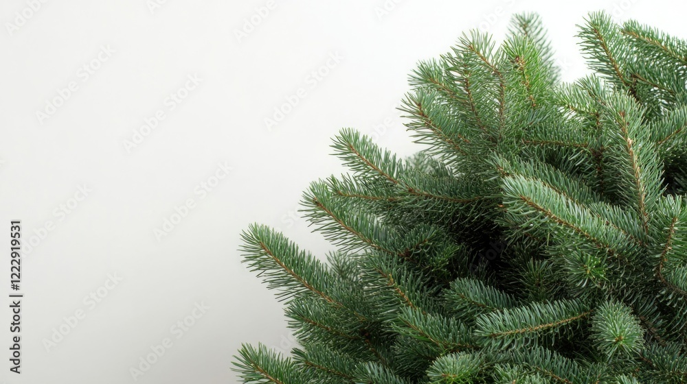 Obraz premium Christmas tree close-up with greenery and blank space for holiday text and messages on a light background