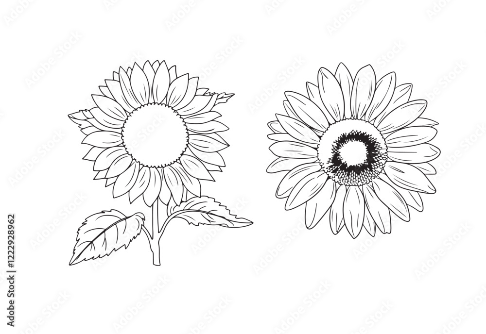 Flat simple Sunflower outline illustration Flat simple Sunflower outline illustration